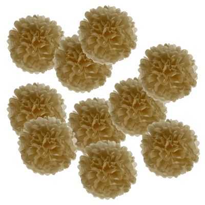 PATIKIL 4" Tissue Pom Poms Flowers, 10 Pack Paper Flower Ball for Wedding Bridal Shower Birthday Bachelorette Party Backdrop Decoration, Khaki