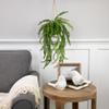 Northlight Artificial Fern Plant with Moss Ball and Hanging Jute Cord, 18", Green view 2