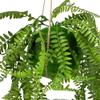 Northlight Artificial Fern Plant with Moss Ball and Hanging Jute Cord, 18", Green view 3
