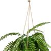 Northlight Artificial Fern Plant with Moss Ball and Hanging Jute Cord, 18", Green view 4
