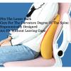 ZTGL Lumbar Support Pillow for Office Chair, Back Support for Gaming Chair, Lumbar Support Pillow for Car, Back Pillow for Computer Desk Chair for Office Chair, Car, Sofa, Plane,A,42x41x11cm(4PCS) view 2