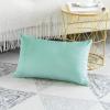 Artscope Luxury Velvet Pillow Covers Decorative Rectangle Pillowcases Soft Solid Cushion Cases for Couch Sofa Bedroom Car Decor 16x24 Inch Aqua Green view 2