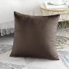Artscope Luxury Velvet Pillow Covers Decorative Square Pillowcases Soft Solid Cushion Cases for Couch Sofa Bedroom Home Decor 20x20 Inch Chocolate Brown view 2