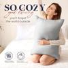 Basic Beyond Standard Size Pillows - Soft Down Alternative Pillows Standard Size Set of 2 for Back, Stomach or Side Sleepers, Silver, 20x26 Inches view 2