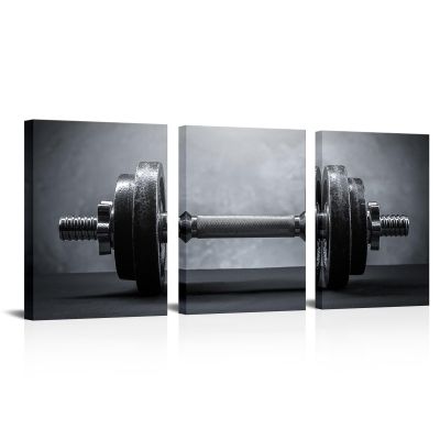 3 Piece Black White Wall Art Gym Picture Modular Dumbbells Picture Sports Artwork Sports Room Living Room Game Room Decor Framed Bedroom Decor