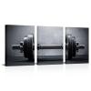 3 Piece Black White Wall Art Gym Picture Modular Dumbbells Picture Sports Artwork Sports Room Living Room Game Room Decor Framed Bedroom Decor view 1