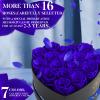 Impouo 16 Preserved Flower Delivery Prime, Preserved Roses in a Box, Birthday Gifts for Women, Mother's Day, and Valentine's Day-Blue Roses view 4