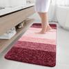 Arotive Microfiber Bathroom Rugs, Shaggy Soft and Absorbent Bath Rug, Non-Slip, Thick Plush Machine Washable Dry Bath Mats for Bathroom, Tub and Shower, 59x24, Burgundy, Rectangular view 1