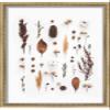 26x32 Ornate Gold 1" Deep Shadow Box Frame - Interior Size 26x32 by 1 Inch Deep - Ornate Gold 1" Made to Display Items Up to 1 Inch Deep Includes Shatter Resistant Acrylic Front, Backing, Hardware view 4