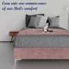 Greaton, 15-Inch Premium Velvet Material Wood Platform Bed, Durable, Stylish, Multi Colour Options, No Box Spring Needed, Silver Metal Legs, Twin, Dark Pink view 3
