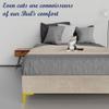 Greaton, 15-Inch Premium Velvet Material Wood Platform Bed, Durable, Stylish, Multi Colour Options, No Box Spring Needed, Golden Metal Legs, California King, Beige view 4