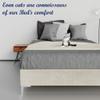 Greaton, 15-Inch Premium Velvet Material Wood Platform Bed, Durable, Stylish, Multi Colour Options, No Box Spring Needed, Silver Metal Legs, Twin, Taupe view 4