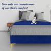 Greaton, 15-Inch Premium Velvet Material Wood Platform Bed, Durable, Stylish, Multi Colour Options, No Box Spring Needed, Golden Metal Legs, Queen, Blue view 3