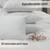 Bafode Pillow Inserts 20'' x 20'' Set of 2, Down Feather White Throw Pillows, Luxury Pillows for Sofa, Bed and Couch and Cushion view 3