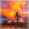 Saguaro Sunset Quilt Panel, DCS-004, Panel Size is 16 X 22,Southwest Quilt Panel, Quality Quilting Cotton, Digitally Printed view 1