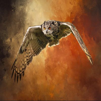 Owl on The Prowl in Flight Quilt Panel, BBP-003, Panel Size is 25 inch x 16 inch, Quality Quilting Cotton