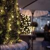 beatineon 65.6ft/200LEDs Christmas LED String Lights Indoor Outdoor Waterproof, Steady Glow Lights for Tree Room Bedroom Wedding Fall Decorations, 5V USB Powered Black Wire Fairy Light (Warm White) view 2