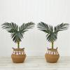 Nearly Natural 3ft. Artificial Golden Cane Palm Tree with Handmade Jute & Cotton Basket with Tassels DIY KIT (Set of 2) view 3