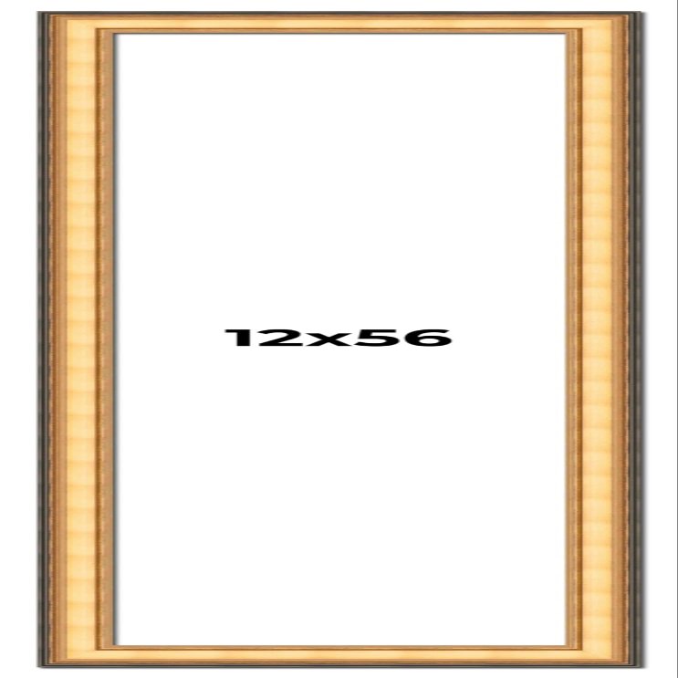 12x56 Frame Gold Plein Aire Solid Wood Picture Frame Width 2 Inches | Interior Frame Depth 0.5 Inches | Monza Traditional Photo Frame Complete with UV Acrylic, Foam Board Backing & Hanging Hardware