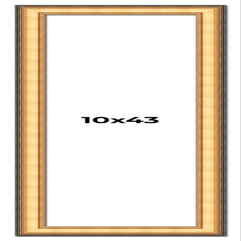 10x43 Frame Gold Plein Aire Solid Wood Picture Frame Width 2 Inches | Interior Frame Depth 0.5 Inches | Monza Traditional Photo Frame Complete with UV Acrylic, Foam Board Backing & Hanging Hardware