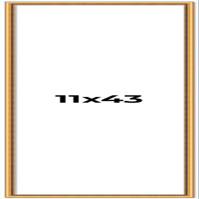 11x43 Frame Beaded Gold Solid Wood Picture Frame | 0.75 Inches Moulding Width | Liscio Oro Traditional Photo Frame | Complete with UV Acrylic Plexiglass, Foam Board Backing & Hanging Hardware