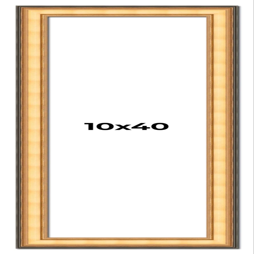 10x40 Frame Gold Plein Aire Solid Wood Picture Frame Width 2 Inches | Interior Frame Depth 0.5 Inches | Monza Traditional Photo Frame Complete with UV Acrylic, Foam Board Backing & Hanging Hardware