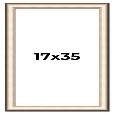 17x35 Frame Gold Silver Plein Aire 2" Inch Wide Moulding Solid Wood Picture Frame | Modena Collection | Complete with UV Acrylic Plexiglass, Foam Board Backing & Hanging Hardware