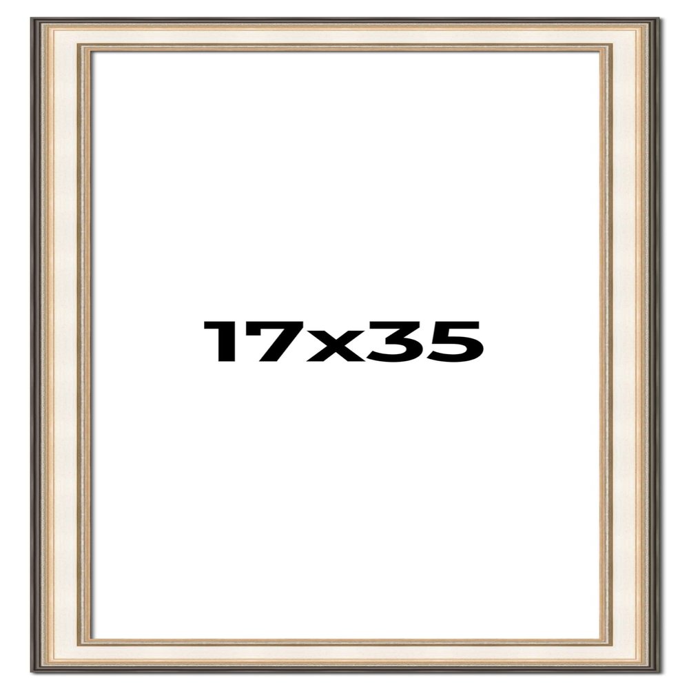 17x35 Frame Gold Silver Plein Aire 2" Inch Wide Moulding Solid Wood Picture Frame | Modena Collection | Complete with UV Acrylic Plexiglass, Foam Board Backing & Hanging Hardware