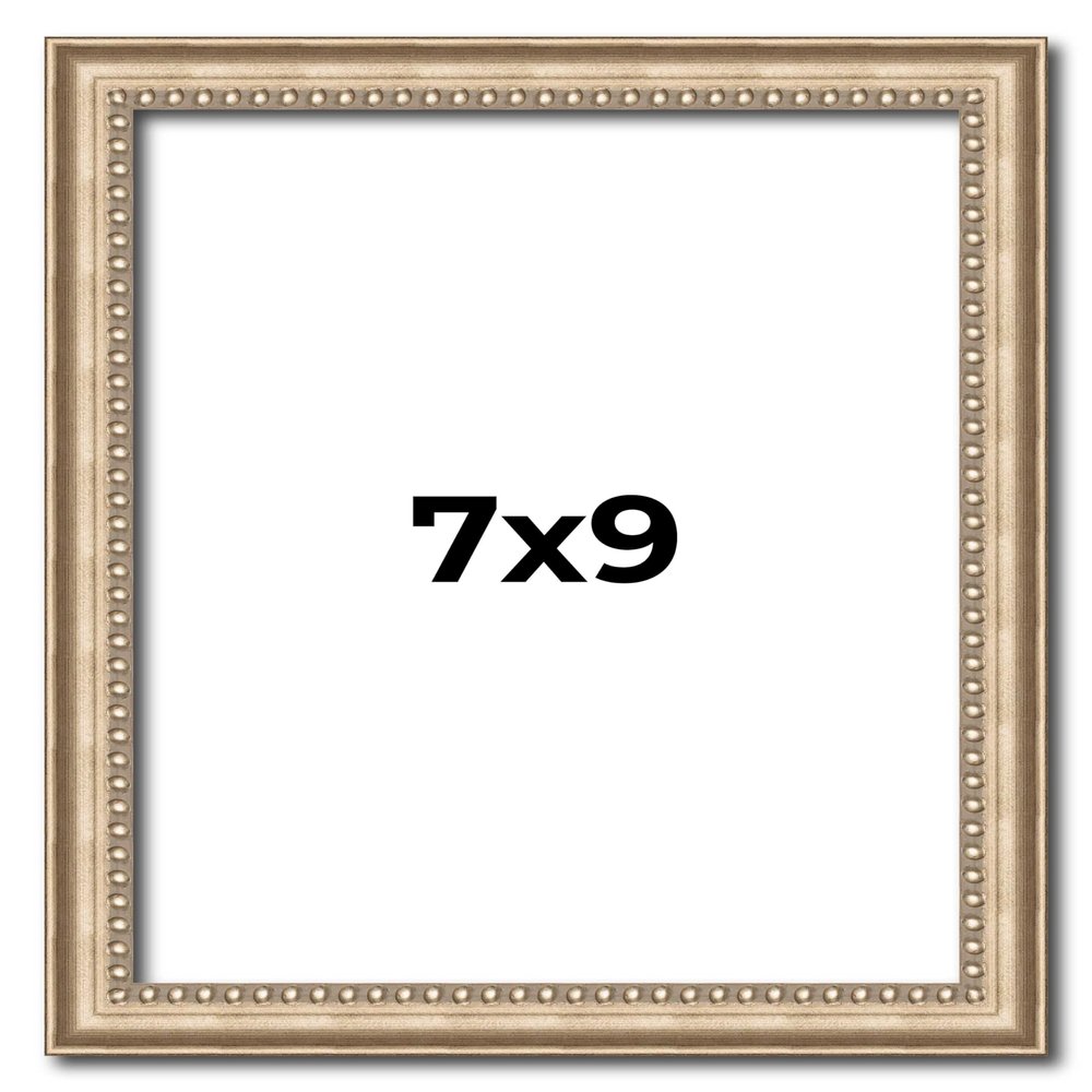 7x9 Frame Silver Real Wood Picture Frame Width 0.75 Inches | Interior Frame Depth 0.5 Inches | Liscio Argeto Traditional Photo Frame Complete with UV Acrylic, Foam Board Backing & Hanging Hardware