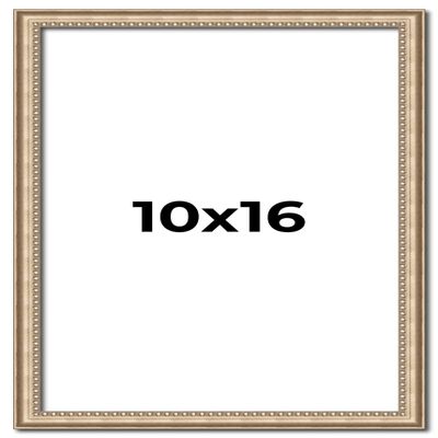 10x16 Frame Silver Real Wood Picture Frame Width 0.75 Inches | Interior Frame Depth 0.5 Inches | Liscio Argeto Traditional Photo Frame Complete with UV Acrylic, Foam Board Backing & Hanging Hardware