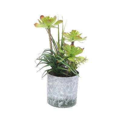 HASMI Artificial Trees Artificial Succulent Plants Tropical Tree Fake Tree Bonsai Mini Agave Potted for Home Desktop Shelf Porch Decor Simulated Pine (Color : B)