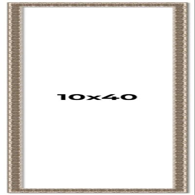 10x40 Frame Silver Versailles Ornate Solid Wood Picture Frame | 1 Inch Moulding Width | Interior Frame Depth 0.5 Inches | Complete with UV Acrylic Plexiglass, Foam Board Backing & Hanging Hardware