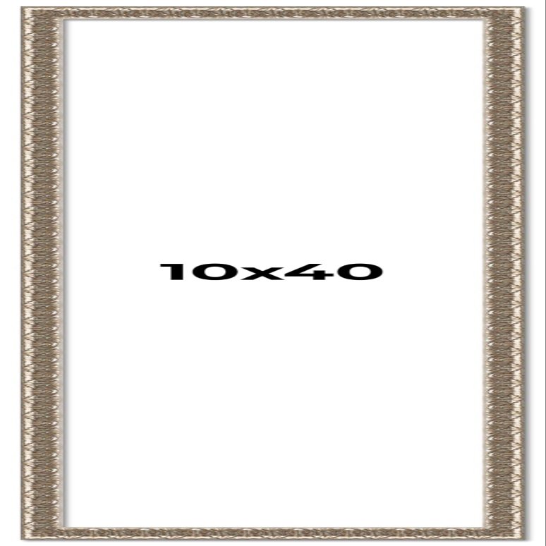 10x40 Frame Silver Versailles Ornate Solid Wood Picture Frame | 1 Inch Moulding Width | Interior Frame Depth 0.5 Inches | Complete with UV Acrylic Plexiglass, Foam Board Backing & Hanging Hardware