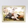10x38 Frame White Real Wood Picture Frame Width 1.25 Inches | Interior Frame Depth 0.5 Inches | Kairos Rustic Photo Frame Complete with UV Acrylic, Foam Board Backing & Hanging Hardware view 4