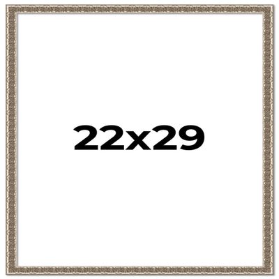 22x29 Frame Silver Versailles Ornate Solid Wood Picture Frame | 1 Inch Moulding Width | Interior Frame Depth 0.5 Inches | Complete with UV Acrylic Plexiglass, Foam Board Backing & Hanging Hardware