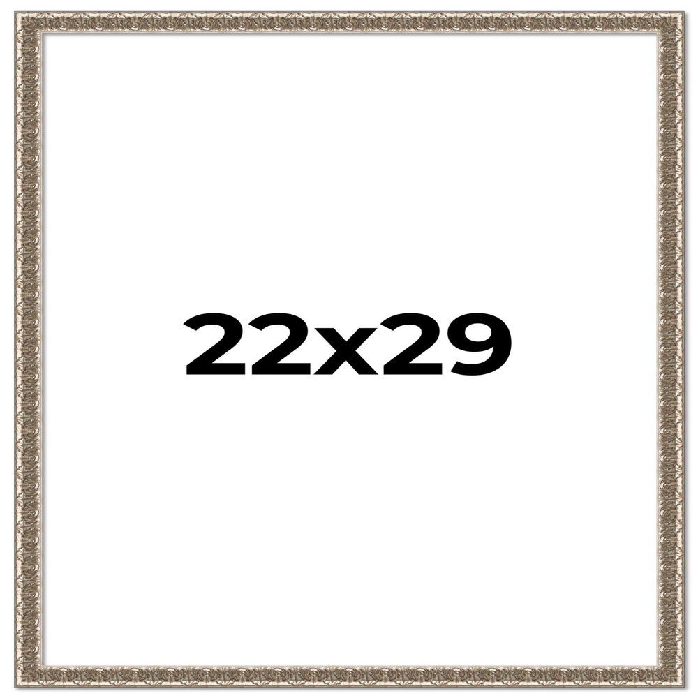 22x29 Frame Silver Versailles Ornate Solid Wood Picture Frame | 1 Inch Moulding Width | Interior Frame Depth 0.5 Inches | Complete with UV Acrylic Plexiglass, Foam Board Backing & Hanging Hardware