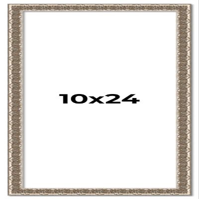 10x24 Frame Silver Versailles Ornate Solid Wood Picture Frame | 1 Inch Moulding Width | Interior Frame Depth 0.5 Inches | Complete with UV Acrylic Plexiglass, Foam Board Backing & Hanging Hardware