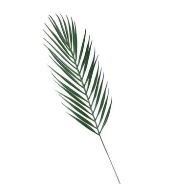 NURCIX Simulation Green Leaves Plastic Persian Leaves Iron Tree Leaves Simulation Plants Indoor Decoration Green Leaves Fake Leaves Fan Tail Anemone Leaves (Light Color)