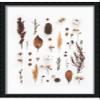 24x40 Shadow Box Beveled Black Frame - Shadow Box Frame Interior Size 24x40 by 1 Inch Deep - Made to Display Items Up to 1 Inch Deep Includes Shatter Resistant Acrylic, Backing, Hardware view 1
