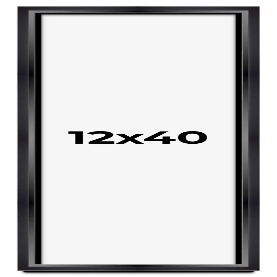 12x40 Shadow Box Black Beveled Display Picture Frame | 1.25 Inches Deep Real Wood Shadowbox Frame | UV Resistant Acrylic Plexiglass, Acid Free Backing and Hanging Hardware Included | Cameron Picture