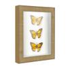 10x12 Shadow Box Frame Silver | 2.25 Inches Deep Real Wood Contemporary Shadowbox Display Frame | UV Resistant Acrylic Front, Acid Free Backing, and Hanging Hardware | Alberta Picture Frame Style view 4
