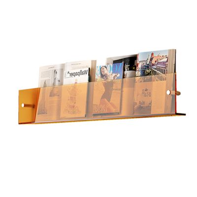 Acrylic Wall Magazine Rack Clear Brochure Holder Wall Mount, Hanging Magazine Holder,for Office,Church,Coffee Shop DisplayOrange 35.1 in