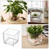 Yardwe Transparent Glass Cube Flower Vase Modern Desktop Succulent Pot Elegant Centerpiece for Home Office and Floral Arrangements Durable and Stylish Glass Decor view 2