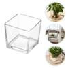 Yardwe Transparent Glass Cube Flower Vase Modern Desktop Succulent Pot Elegant Centerpiece for Home Office and Floral Arrangements Durable and Stylish Glass Decor view 4
