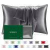 Mulberry Silk Pillowcase for Hair and Skin, 22 Momme Natural Single Sided Pure Silk Pillow Cases with Zipper, 6A Soft and Smooth Pillow Cover (Dark Gray, Standard 20"x26") view 1
