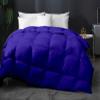 Home Decor 1000-TC Box Plated Down Alternative Comforter King Size 102 x 90 Inches 1-pc Comforte & 4pc Pillow Shams, 600 GSM Micro Fill & 4-8 Corner Tabs & Very Soft Fill Power view 1