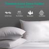 APSMILE Organic 12x20 Feather Down Throw Pillow Inserts Set of 2, 100% Cotton Fabric, Soft Fluffy Rectangle Decorative Pillow Form Core for Sofa, Bed, Couch, Cushion Sham Stuffer view 3