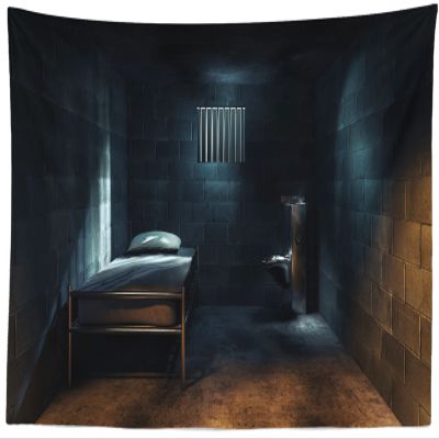 Loccor Prison Cell Tapestry Backdrop Night Dark Jail Forbidden Room Mystery Murder Party Mugshot Crime Scene Wall Hangings Horror Halloween Birthday Party Decor Home Dorm Wall Decor W92xH70 Inches