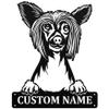 Personalized Dog Metal Sign Gift for Him or Her, Chinese Crested Custom Metal Name, Pet Owner Kids Room House Decor, Dog Wall Art Present (Chinese Crested) view 1