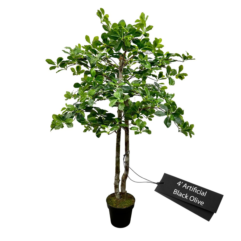 Cypress & Alabaster Handmade 4ft Italian Black Olive Leaf Artificial Tree with Ethically Sourced Real Wood Trunks, Hypoallergenic, 4-Foot, Green
